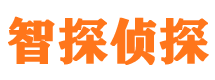 临清市婚姻调查